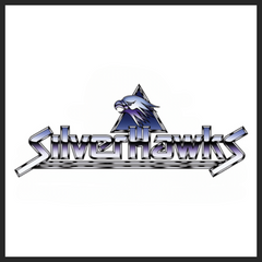 Silverhawks Ultimates