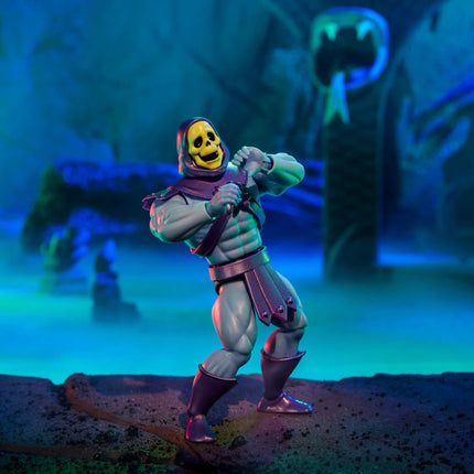 Masters of the Universe Origins Skeletor x VeeFriends Skilled Skeleton 2-Pack