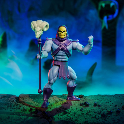 Masters of the Universe Origins Skeletor x VeeFriends Skilled Skeleton 2-Pack